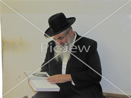 Rabbi David Brdgo